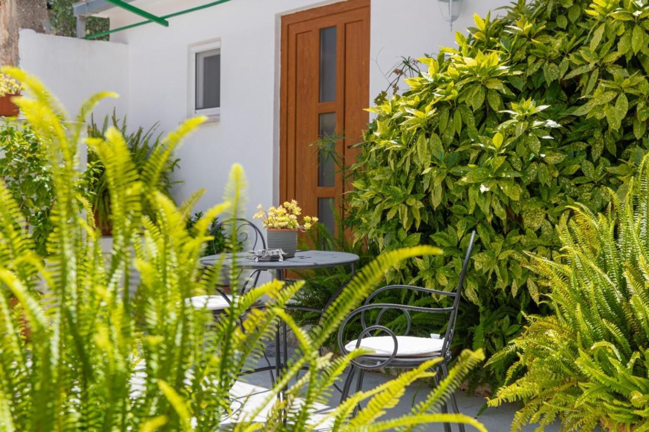 Apartments Jelena Supetar - Four Apartments - A Small House With A Private Yard - Two-Room Apartment With A Sea View - Studio Apartment - Two-Room Apartment With Garden View- Free Parking Exterior photo